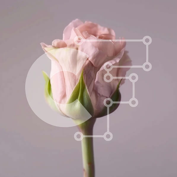 2imWZT7ONkct9z4p4yWvNkYtQbm-desktop