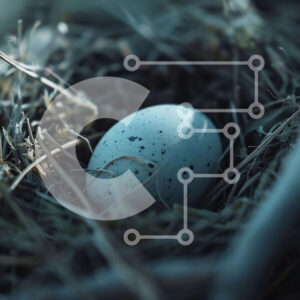 Intra Συλλεκτικό Ξύλινο Παζλ Plywood  4mm - Φωλιά πουλιού με λευκό αυγό Σε Ξύλινο Κουτί - Διαστάσεις: 10x10 cm – 25 κομμάτια