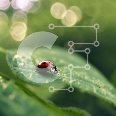 Intra Συλλεκτικό Ξύλινο Παζλ Plywood  4mm - Πασχαλίτσα σε πράσινα φύλλα με φόντο Bokeh Σε Ξύλινο Κουτί - Διαστάσεις: 10x10 cm – 25 κομμάτια - Image 1