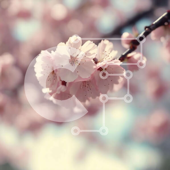 2imWaL7WPHMJvRq0dACuDRi1QEJ-desktop