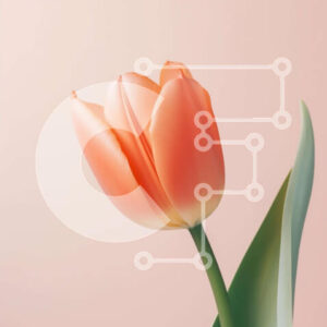 Intra Συλλεκτικό Ξύλινο Παζλ Plywood  4mm - Μονό πορτοκαλί λουλούδι τουλίπας σε ροζ φόντο Σε Ξύλινο Κουτί - Διαστάσεις: 10x10 cm – 25 κομμάτια