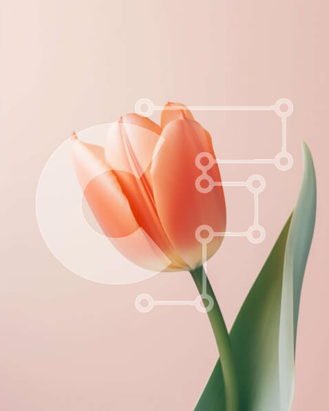 2imWcEHqNR5zCSIzTP6yhhfKjd3-desktop