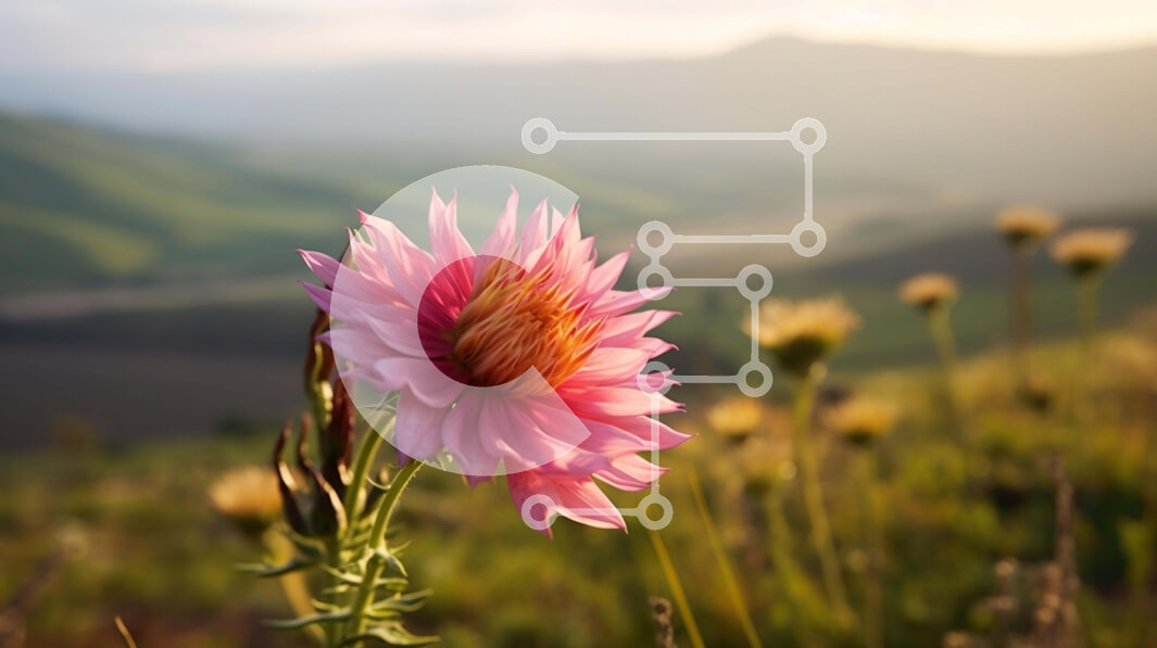 Intra Συλλεκτικό Ξύλινο Παζλ Plywood  4mm - Ροζ λουλούδι σε ένα χορταριασμένο χωράφι με βουνά και λόφους Σε Ξύλινο Κουτί - Διαστάσεις: 10x10 cm – 25 κομμάτια