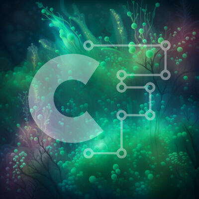 Intra Συλλεκτικό Ξύλινο Παζλ Plywood  4mm - Υποβρύχια σκηνή με υδρόβια φυτά και πλάσματα Σε Ξύλινο Κουτί - Διαστάσεις: 10x10 cm – 25 κομμάτια - Image 1