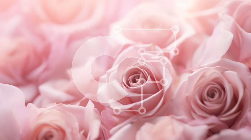 Intra Συλλεκτικό Ξύλινο Παζλ Plywood  4mm - Κοντινό πλάνο με ροζ τριαντάφυλλα για καλλιτεχνικό φόντο ή διακοσμητικούς σκοπούς Σε Ξύλινο Κουτί - Διαστάσεις: 10x10 cm – 25 κομμάτια