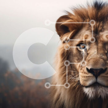 Intra Συλλεκτικό Ξύλινο Παζλ Plywood 4mm - Majestic Lion που στέκεται σε εξωτερικούς χώρους Σε Ξύλινο Κουτί - Διαστάσεις: 10x10 cm – 25 κομμάτια - Image 1