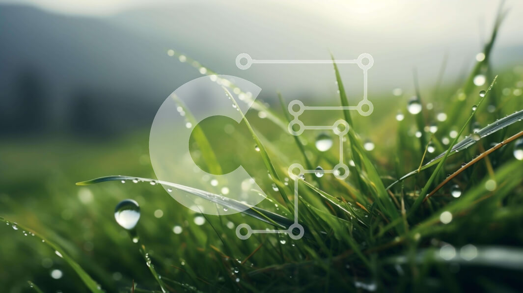 Intra Συλλεκτικό Ξύλινο Παζλ Plywood  4mm - Πράσινο πεδίο με σταγονίδια νερού στο γρασίδι Σε Ξύλινο Κουτί - Διαστάσεις: 10x10 cm – 25 κομμάτια