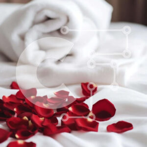 Intra Συλλεκτικό Ξύλινο Παζλ Plywood  4mm - Ρομαντικό υπνοδωμάτιο με κόκκινα ροδοπέταλα Σε Ξύλινο Κουτί - Διαστάσεις Puzzle: 10x10 cm – 25 κομμάτια