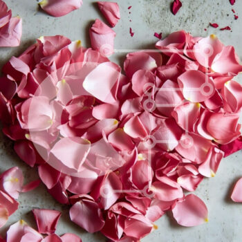 Intra Συλλεκτικό Ξύλινο Παζλ Plywood  4mm - Ροζ Πέταλο σε σχήμα καρδιάς Σε Ξύλινο Κουτί - Διαστάσεις Puzzle: 10x10 cm – 25 κομμάτια - Image 1