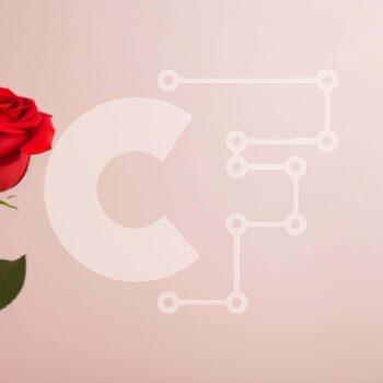 Intra Συλλεκτικό Ξύλινο Παζλ Plywood  4mm - Ρομαντικό μονό κόκκινο τριαντάφυλλο σε ροζ φόντο Σε Ξύλινο Κουτί - Διαστάσεις Puzzle: 10x10 cm – 25 κομμάτια - Image 1