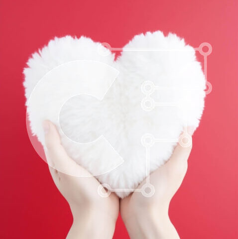 Intra Συλλεκτικό Ξύλινο Παζλ Plywood 4mm - Μαξιλάρι σε σχήμα καρδιάς σε κόκκινο φόντο Σε Ξύλινο Κουτί - Διαστάσεις: 10x10 cm – 25 κομμάτια - Image 1