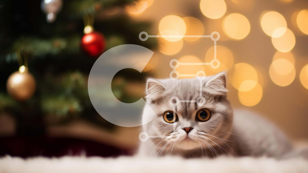 Intra Συλλεκτικό Ξύλινο Παζλ Plywood  4mm - Περίεργη γάτα και χριστουγεννιάτικο δέντρο Σε Ξύλινο Κουτί - Διαστάσεις: 10x10 cm – 25 κομμάτια