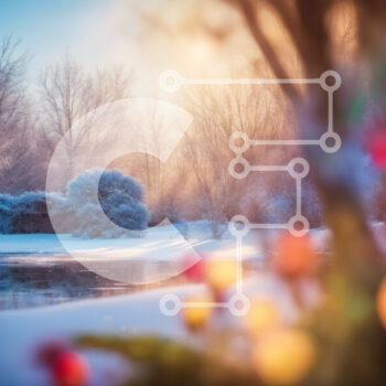 Intra Συλλεκτικό Ξύλινο Παζλ Plywood  4mm - Χειμερινή σκηνή με τα χιονισμένα δέντρα και την παγωμένη λίμνη Σε Ξύλινο Κουτί - Διαστάσεις Puzzle: 10x10 cm – 25 κομμάτια - Image 1