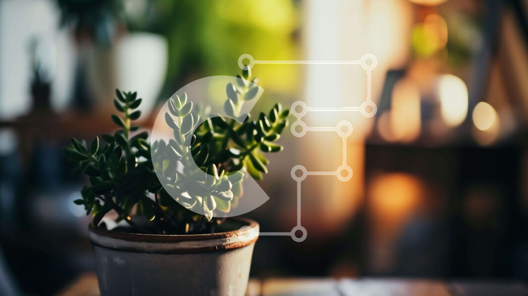 Intra Συλλεκτικό Ξύλινο Παζλ Plywood  4mm - Υγιές φυτό σε γλάστρα σε ανοιχτό ξύλινο τραπέζι Σε Ξύλινο Κουτί - Διαστάσεις: 10x10 cm – 25 κομμάτια