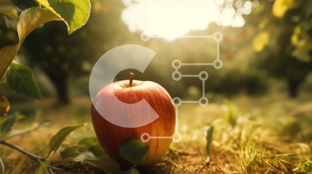 Intra Συλλεκτικό Ξύλινο Παζλ Plywood  4mm - Μήλο σε ένα χορταριασμένο χωράφι Σε Ξύλινο Κουτί - Διαστάσεις: 10x10 cm – 25 κομμάτια