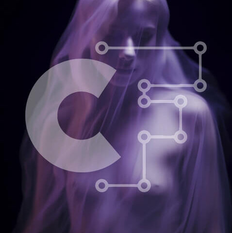 Intra Συλλεκτικό Ξύλινο Παζλ Plywood  4mm - Αιθέρια ομορφιά σε διάφανο ύφασμα Σε Ξύλινο Κουτί - Διαστάσεις Puzzle: 10x10 cm – 25 κομμάτια - Image 1