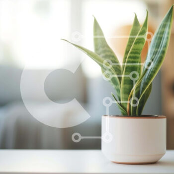 Intra Συλλεκτικό Ξύλινο Παζλ Plywood  4mm - Μικρό φυτό σε γλάστρα στο τραπέζι του σαλονιού Σε Ξύλινο Κουτί - Διαστάσεις Puzzle: 10x10 cm – 25 κομμάτια - Image 1