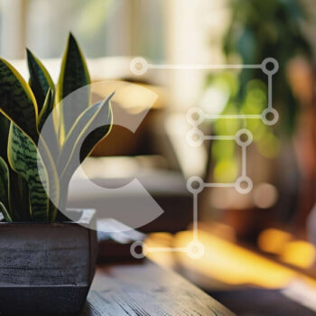 Intra Συλλεκτικό Ξύλινο Παζλ Plywood  4mm - Μικρό φυτό σε γλάστρα σε ξύλινο τραπεζάκι σαλονιού Σε Ξύλινο Κουτί - Διαστάσεις Puzzle: 10x10 cm – 25 κομμάτια - Image 1