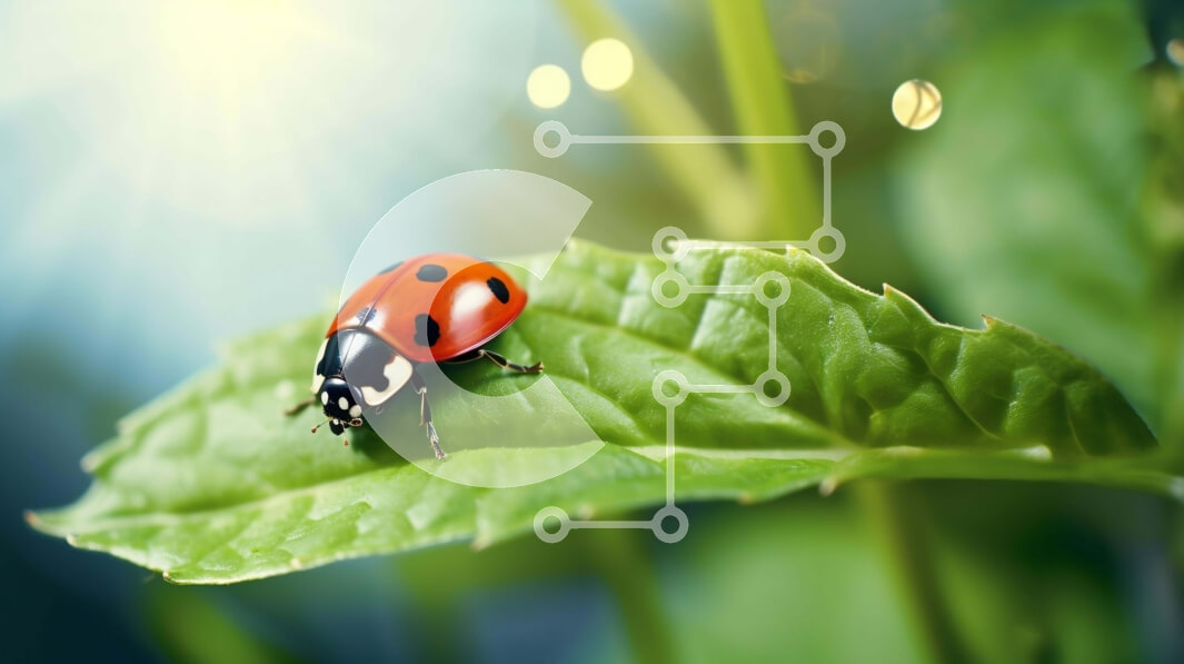 Intra Συλλεκτικό Ξύλινο Παζλ Plywood  4mm - Πασχαλίτσα σε πράσινο φύλλο με τον ήλιο να λάμπει πίσω Σε Ξύλινο Κουτί - Διαστάσεις: 10x10 cm – 25 κομμάτια