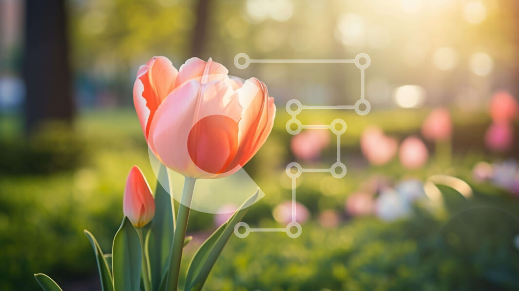 Intra Συλλεκτικό Ξύλινο Παζλ Plywood  4mm - Ροζ λουλούδι τουλίπας σε ανοιχτό χωράφι με δέντρα και λουλούδια Σε Ξύλινο Κουτί - Διαστάσεις: 10x10 cm – 25 κομμάτια