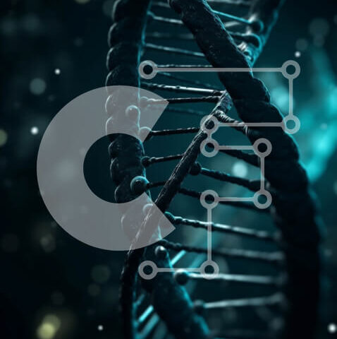 Intra Συλλεκτικό Ξύλινο Παζλ Plywood  4mm - DNA Strand Photography for Science and Biology Concepts Σε Ξύλινο Κουτί - Διαστάσεις Puzzle: 10x10 cm – 25 κομμάτια - Image 1