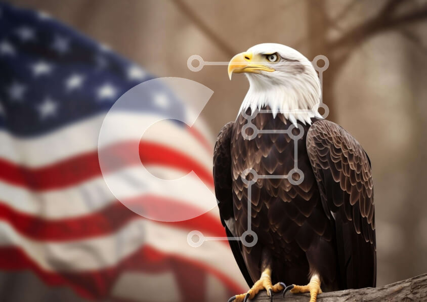 Intra Συλλεκτικό Ξύλινο Παζλ Plywood  4mm - Αμερικανικός φαλακρός αετός με φόντο αμερικανική σημαία Σε Ξύλινο Κουτί - Διαστάσεις: 10x10 cm – 25 κομμάτια