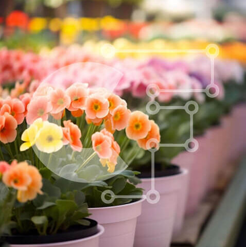 Intra Συλλεκτικό Ξύλινο Παζλ Plywood 4mm - Ροζ και κίτρινα λουλούδια σε γλάστρες στο Flower Store Σε Ξύλινο Κουτί - Διαστάσεις: 10x10 cm – 25 κομμάτια - Image 1