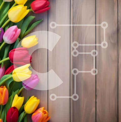 Intra Συλλεκτικό Ξύλινο Παζλ Plywood  4mm - Πολύχρωμη διάταξη τουλίπας σε ξύλινο φόντο Σε Ξύλινο Κουτί - Διαστάσεις: 10x10 cm – 25 κομμάτια - Image 1