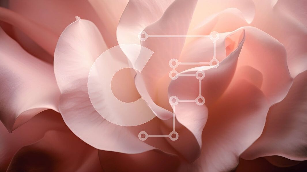 Intra Συλλεκτικό Ξύλινο Παζλ Plywood  4mm - Κοντινό πλάνο ενός ελκυστικού ροζ λουλουδιού Σε Ξύλινο Κουτί - Διαστάσεις: 10x10 cm – 25 κομμάτια