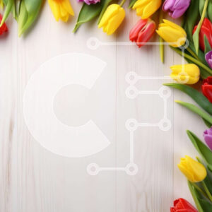 Intra Συλλεκτικό Ξύλινο Παζλ Plywood  4mm - Πολύχρωμες τουλίπες σε λευκό ξύλινο φόντο Σε Ξύλινο Κουτί - Διαστάσεις: 10x10 cm – 25 κομμάτια