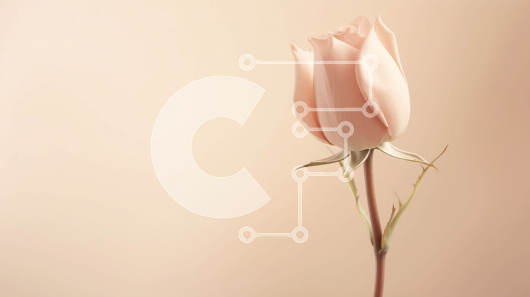 Intra Συλλεκτικό Ξύλινο Παζλ Plywood  4mm - Μονό ροζ τριαντάφυλλο σε υπόλευκο φόντο Σε Ξύλινο Κουτί - Διαστάσεις: 10x10 cm – 25 κομμάτια