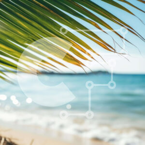 Intra Συλλεκτικό Ξύλινο Παζλ Plywood  4mm - Φύλλο φοίνικα στην παραλία με τον ωκεανό στο φόντο Σε Ξύλινο Κουτί - Διαστάσεις: 10x10 cm – 25 κομμάτια