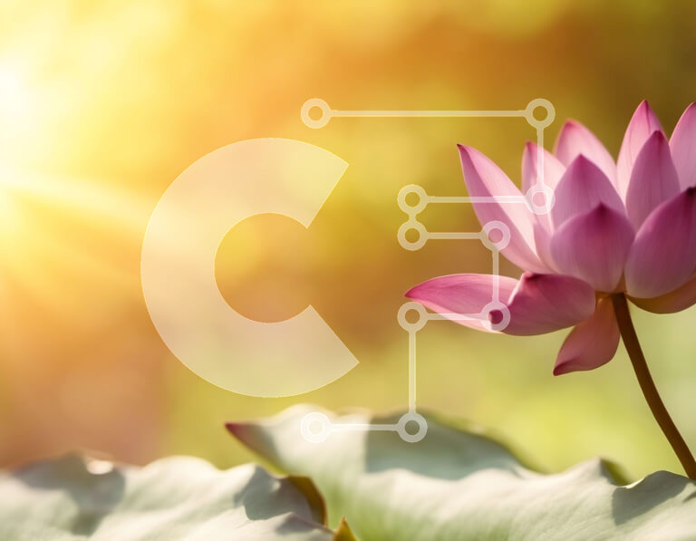 Intra Συλλεκτικό Ξύλινο Παζλ Plywood  4mm - Ροζ λουλούδι λωτού με ανοιγμένα πέταλα σε ένα φύλλο στο νερό Σε Ξύλινο Κουτί - Διαστάσεις: 10x10 cm – 25 κομμάτια