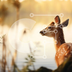 Intra Συλλεκτικό Ξύλινο Παζλ Plywood  4mm - Χαριτωμένη εικόνα ενός ελαφιού που κοιτάζει το νερό Σε Ξύλινο Κουτί - Διαστάσεις: 10x10 cm – 25 κομμάτια