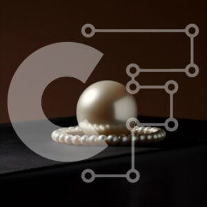 Intra Συλλεκτικό Ξύλινο Παζλ Plywood  4mm - Εκπληκτική εικόνα ενός λευκού μαργαριταριού σε μια μαύρη επιφάνεια Σε Ξύλινο Κουτί - Διαστάσεις: 10x10 cm – 25 κομμάτια