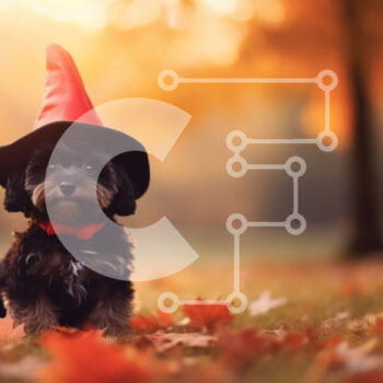 Intra Συλλεκτικό Ξύλινο Παζλ Plywood  4mm - Σκύλος στα φθινοπωρινά φύλλα με το καπέλο της μάγισσας Σε Ξύλινο Κουτί - Διαστάσεις Puzzle: 10x10 cm – 25 κομμάτια - Image 1