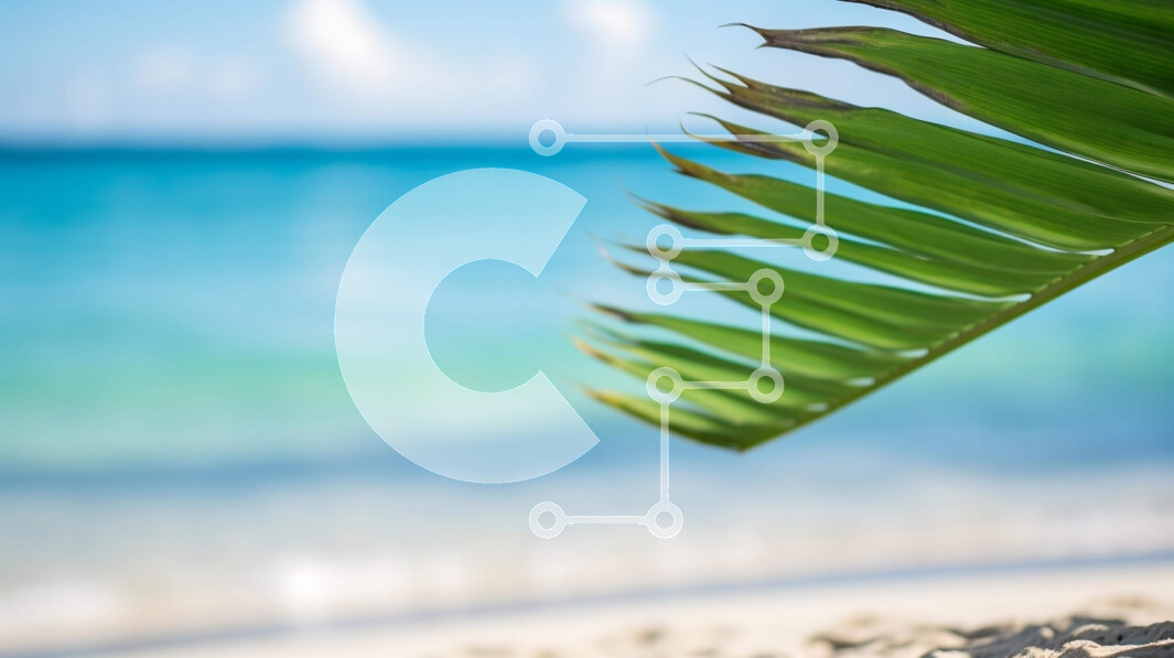 Intra Συλλεκτικό Ξύλινο Παζλ Plywood  4mm - Palm Leaf στην παραλία με θέα στον ωκεανό Σε Ξύλινο Κουτί - Διαστάσεις: 10x10 cm – 25 κομμάτια