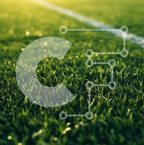 Intra Συλλεκτικό Ξύλινο Παζλ Plywood 4mm - Κοντινό πλάνο γηπέδου ποδοσφαίρου με καταπράσινο γρασίδι Σε Ξύλινο Κουτί - Διαστάσεις Puzzle: 10x10 cm – 25 κομμάτια - Image 1