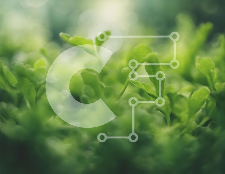 Intra Συλλεκτικό Ξύλινο Παζλ Plywood  4mm - Κοντινό πλάνο καταπράσινων φυτών με φωτισμό Bokeh Σε Ξύλινο Κουτί - Διαστάσεις: 10x10 cm – 25 κομμάτια