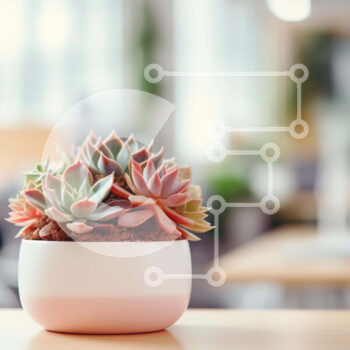 Intra Συλλεκτικό Ξύλινο Παζλ Plywood  4mm - Μικρό παχύφυτο σε γλάστρα σε τραπέζι γραφείου Σε Ξύλινο Κουτί - Διαστάσεις Puzzle: 10x10 cm – 25 κομμάτια - Image 1