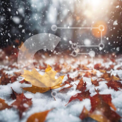 Intra Συλλεκτικό Ξύλινο Παζλ Plywood  4mm - Φθινοπωρινή σκηνή με το κίτρινο φύλλο σφενδάμου στο χιόνι Σε Ξύλινο Κουτί - Διαστάσεις: 10x10 cm – 25 κομμάτια - Image 1