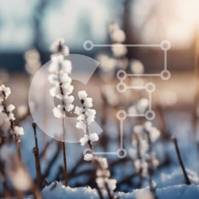 Intra Συλλεκτικό Ξύλινο Παζλ Plywood 4mm - Χιονισμένο χωράφι με φυτά και ηλιακό φως Σε Ξύλινο Κουτί - Διαστάσεις: 10x10 cm – 25 κομμάτια - Image 1