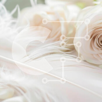 Intra Συλλεκτικό Ξύλινο Παζλ Plywood  4mm - Ρομαντικό λευκό τριαντάφυλλο, φτερό και παιώνιες στο τραπέζι Σε Ξύλινο Κουτί - Διαστάσεις Puzzle: 10x10 cm – 25 κομμάτια - Image 1