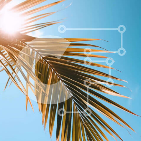 Intra Συλλεκτικό Ξύλινο Παζλ Plywood  4mm - Φύλλο φοίνικα με λαμπερή ηλιοφάνεια και μπλε ουρανό Σε Ξύλινο Κουτί - Διαστάσεις: 10x10 cm – 25 κομμάτια - Image 1