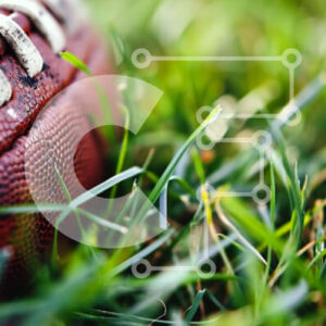 Intra Συλλεκτικό Ξύλινο Παζλ Plywood  4mm - Μπάλα ποδοσφαίρου στο γρασίδι Σε Ξύλινο Κουτί - Διαστάσεις Puzzle: 10x10 cm – 25 κομμάτια