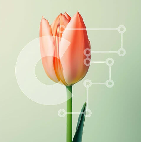 Intra Συλλεκτικό Ξύλινο Παζλ Plywood 4mm - Μονό ροζ λουλούδι τουλίπας σε πρώτο πλάνο Σε Ξύλινο Κουτί - Διαστάσεις: 10x10 cm – 25 κομμάτια - Image 1