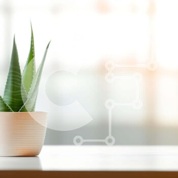 Intra Συλλεκτικό Ξύλινο Παζλ Plywood  4mm - Φυτό Aloe Vera σε τραπέζι με φυσικό φως Σε Ξύλινο Κουτί - Διαστάσεις: 10x10 cm – 25 κομμάτια - Image 1