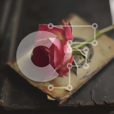 Intra Συλλεκτικό Ξύλινο Παζλ Plywood 4mm - Μονό ροζ τριαντάφυλλο στο παλιό βιβλίο Σε Ξύλινο Κουτί - Διαστάσεις: 10x10 cm – 25 κομμάτια - Image 1