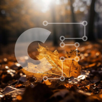 Intra Συλλεκτικό Ξύλινο Παζλ Plywood  4mm - Όμορφη εικόνα ενός κίτρινου φύλλου στο δάσος το φθινόπωρο Σε Ξύλινο Κουτί - Διαστάσεις: 10x10 cm – 25 κομμάτια - Image 1