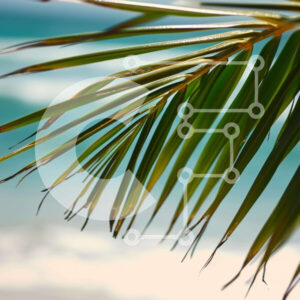 Intra Συλλεκτικό Ξύλινο Παζλ Plywood  4mm - Φύλλο φοίνικα στην παραλία με φόντο του ωκεανού Σε Ξύλινο Κουτί - Διαστάσεις: 10x10 cm – 25 κομμάτια